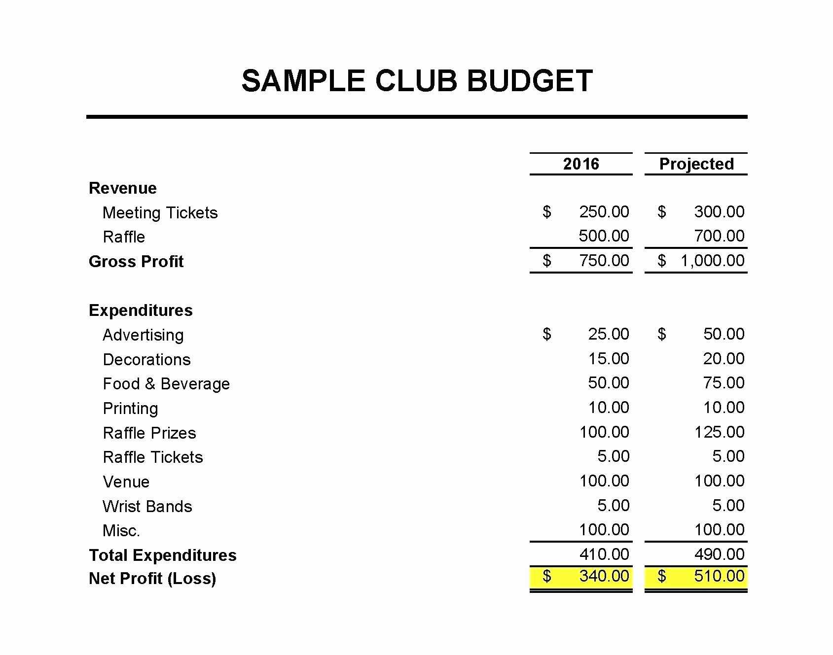 10 Treasurers Report Template | Resume Samples Pertaining To Non Profit Treasurer Report Template