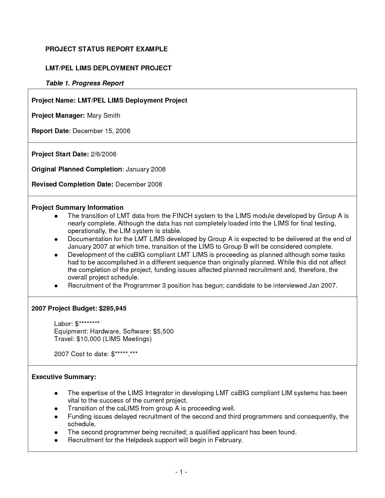 11+ Project Status Report Examples – Pdf | Examples For Executive Summary Project Status Report Template