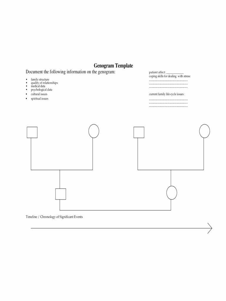 20 Unique Stock Of Genogram For Macs | Cover Letter Examples Within Family Genogram Template Word