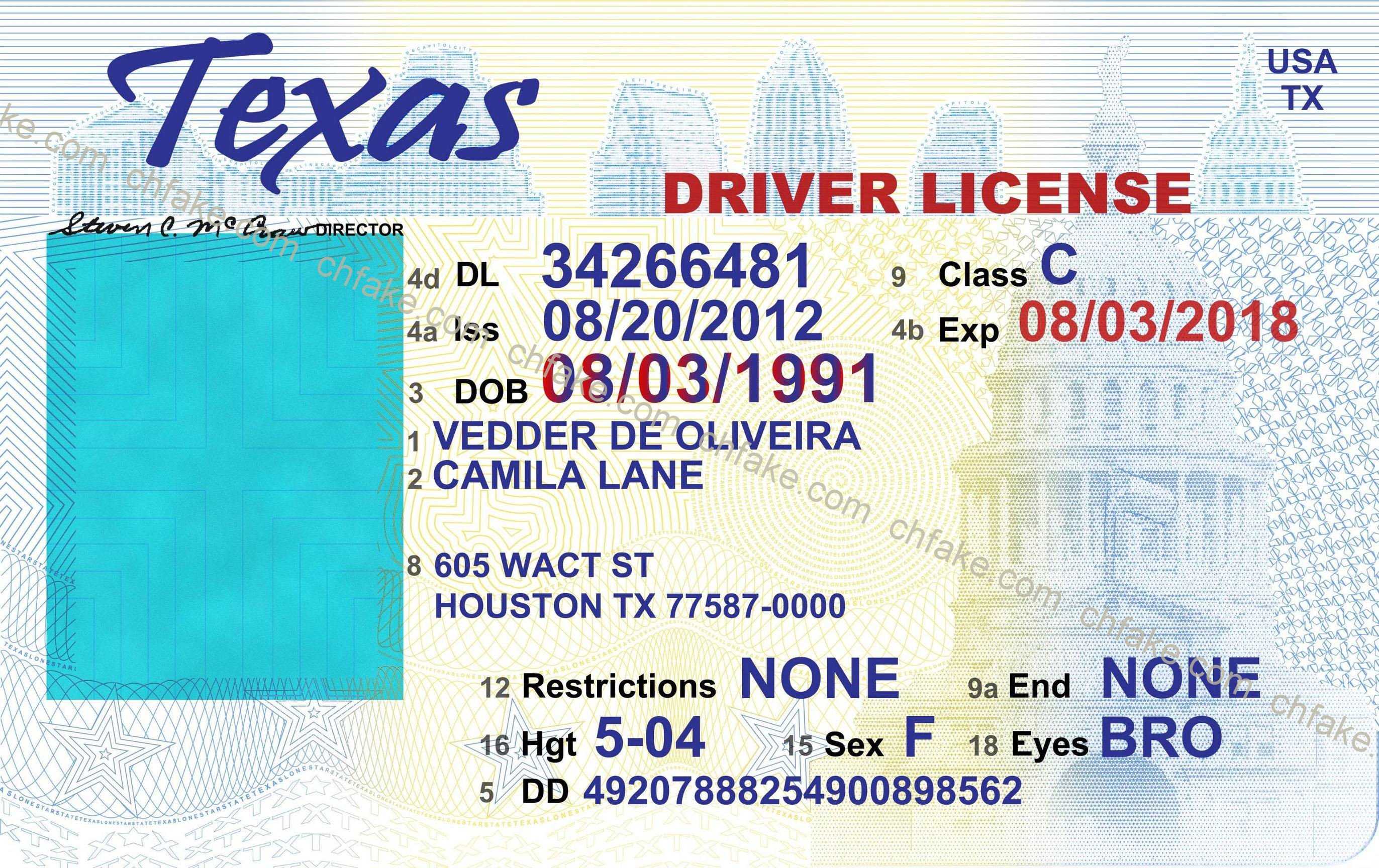 28 Drivers License Template Free | Robertbathurst Inside Blank Drivers License Template