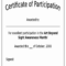 30 Certificate Of Participation Pdf | Pryncepality For Certificate Of Participation Template Doc