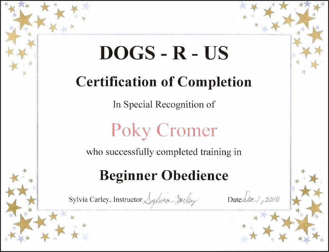 30 Dog Birth Certificate Template Free | Pryncepality Pertaining To Birth Certificate Template For Microsoft Word