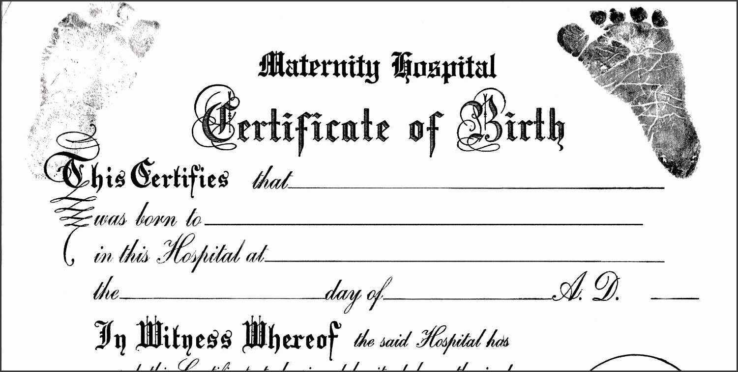 30 Fillable Birth Certificate Template | Pryncepality Intended For Baby Doll Birth Certificate Template