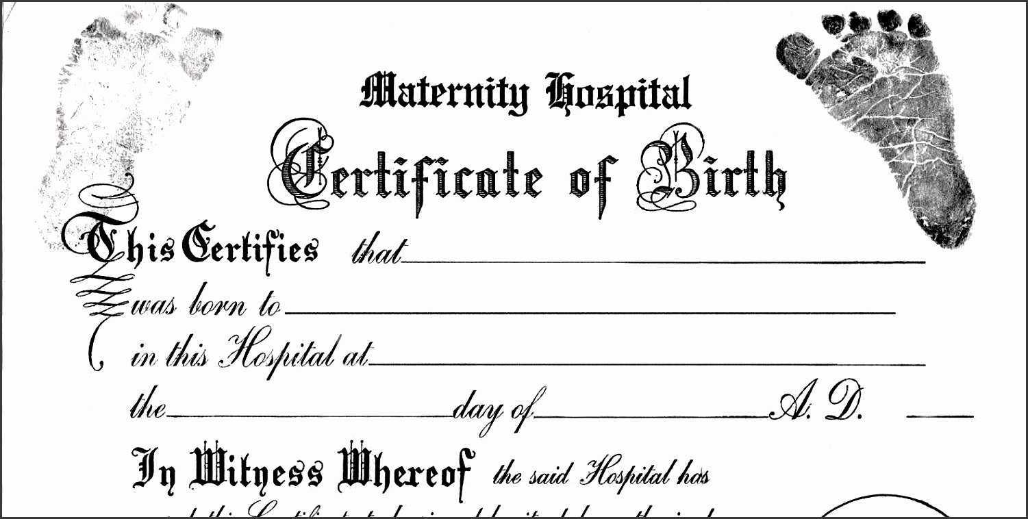 30 Fillable Birth Certificate Template | Pryncepality With Editable Birth Certificate Template