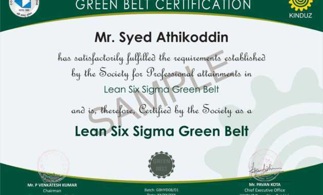 30 Free Black Belt Certificate Template | Pryncepality pertaining to Green Belt Certificate Template