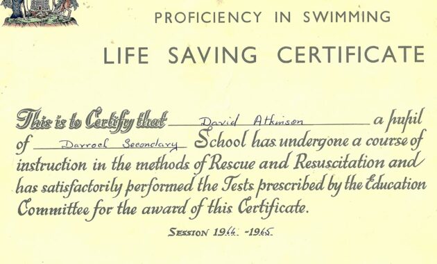 30 Life Saving Award Template | Pryncepality for Life Saving Award Certificate Template