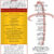 6 Awesome Seventh Day Adventist Church Bulletin Templates with Church 6 Awesome Seventh Day Adventist Church Bulletin Templates with Church
