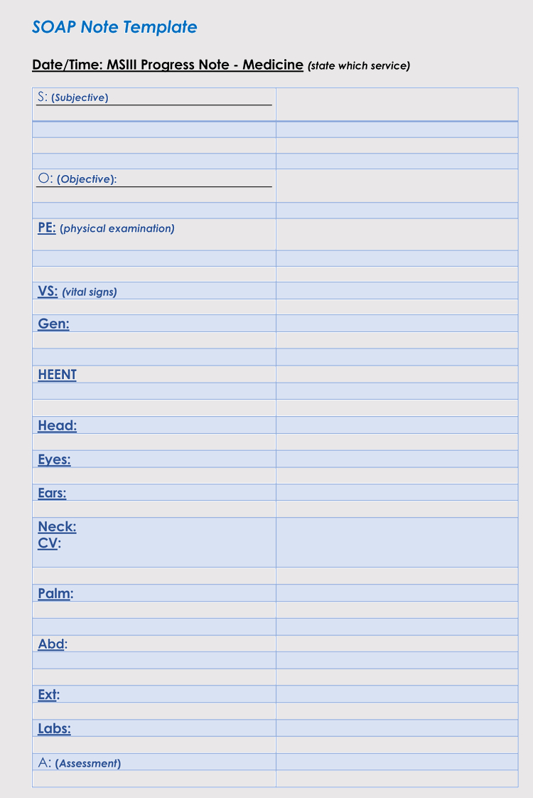 35+ Soap Note Examples (Blank Formats & Writing Tips) Intended For Soap Note Template Word