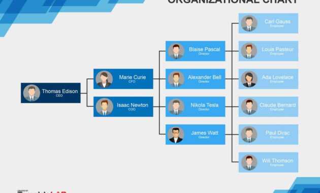 40 Organizational Chart Templates (Word, Excel, Powerpoint) in Company Organogram Template Word
