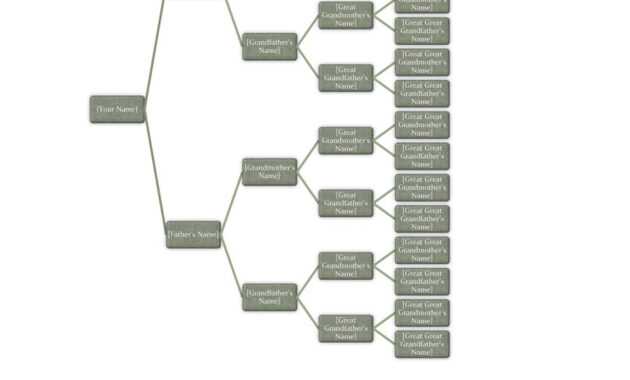 50+ Free Family Tree Templates (Word, Excel, Pdf) ᐅ in 3 Generation Family Tree Template Word