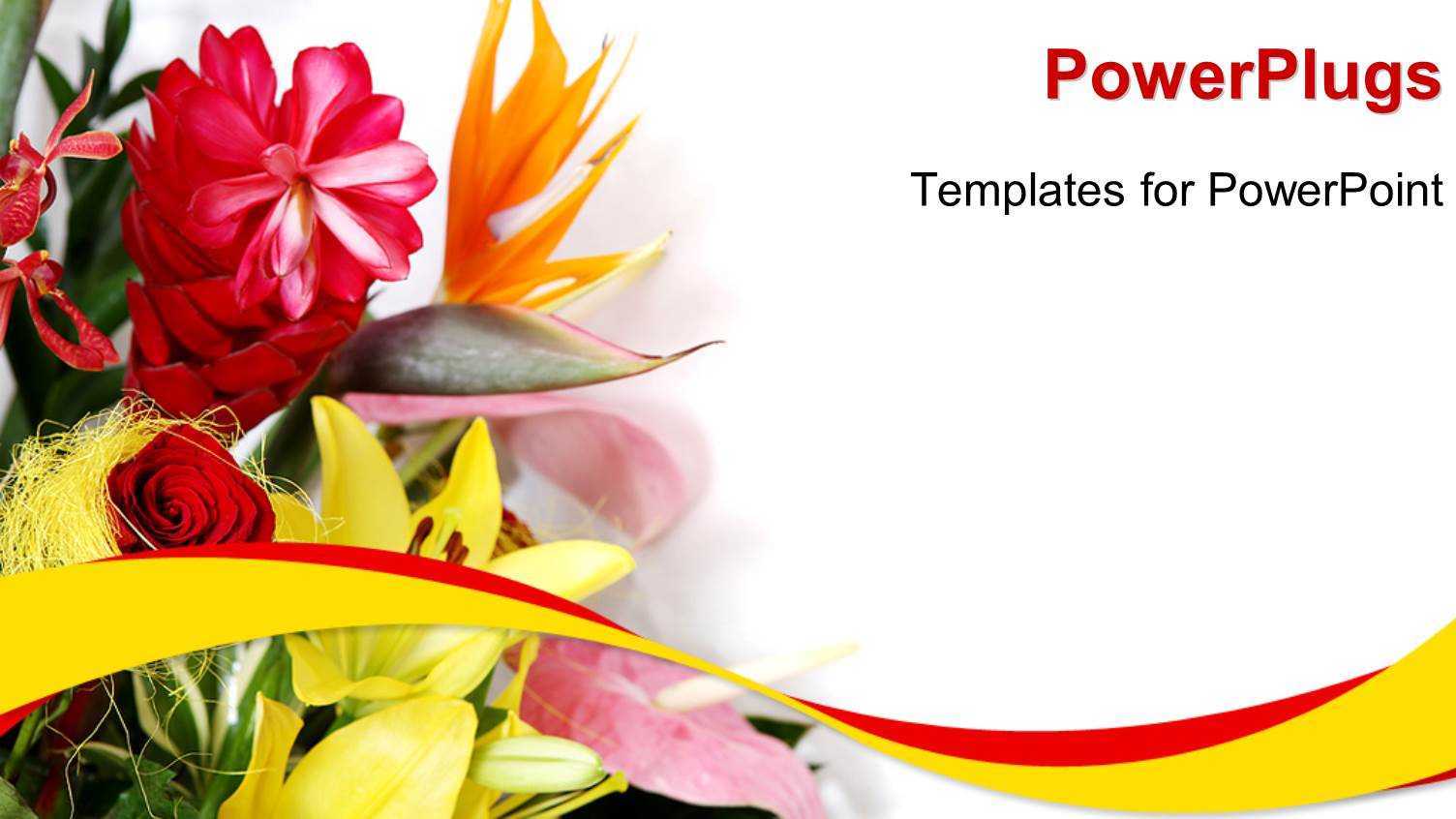 5000+ Greeting Card Powerpoint Templates W/ Greeting Card In Greeting Card Template Powerpoint