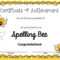 A Blog About Education, Children, Teaching, And My Journey In Spelling Bee Award Certificate Template