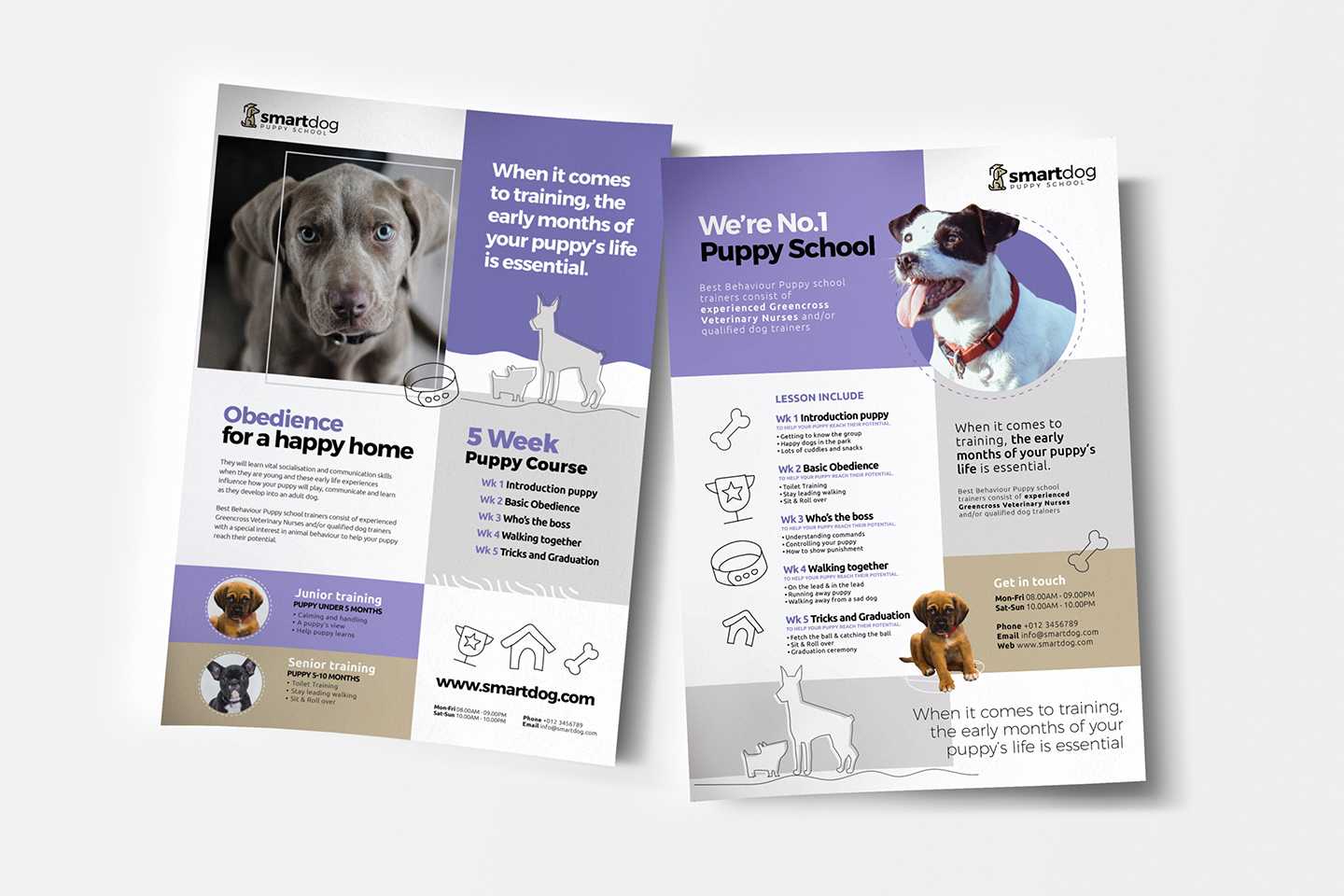 A4 Puppy School Poster / Advertisement Template In Psd, Ai In Training Brochure Template