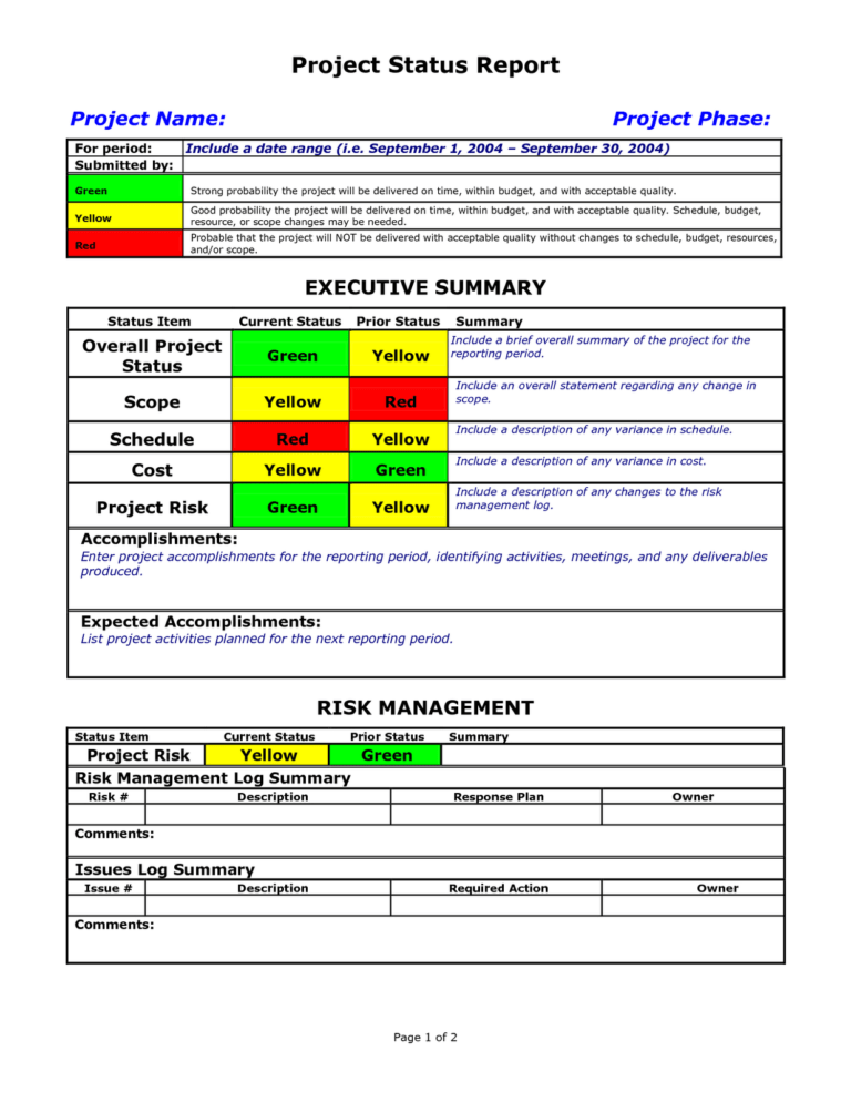 Executive Summary Project Status Report Template Professional Template