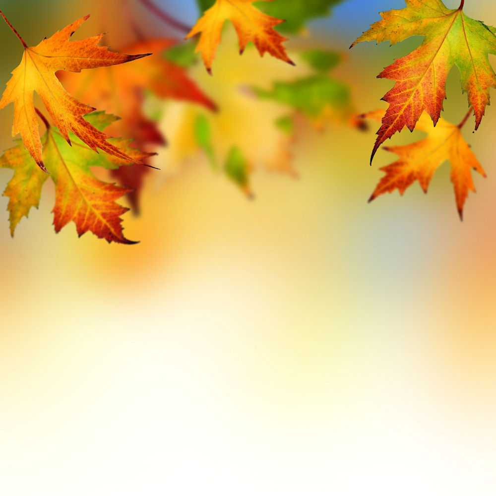 Autumn Leaves Backgrounds For Powerpoint – Flower Ppt Templates With Regard To Free Fall Powerpoint Templates