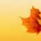 Autumn Ppt Background – Powerpoint Backgrounds For Free Regarding Free Fall Powerpoint Templates