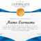 Beautiful Certificate Template. Vector Design For Award, Diploma With Beautiful Certificate Templates