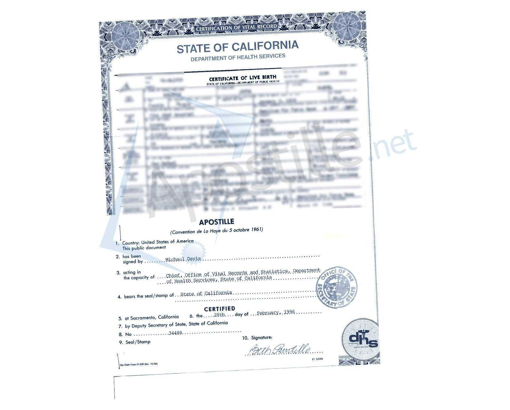 Birth Certificate Template Bd With Maker For Fun Plus Free In Novelty Birth Certificate Template