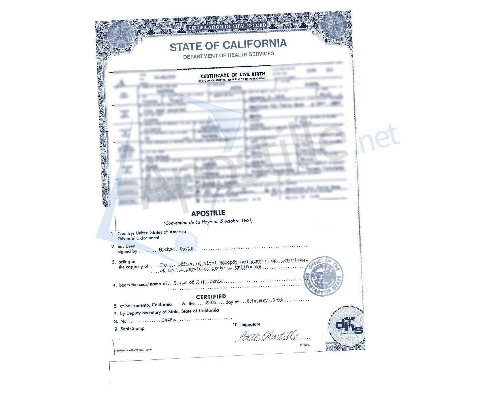 Birth Certificate Template Bd With Maker For Fun Plus Free Intended For Fake Birth Certificate Template