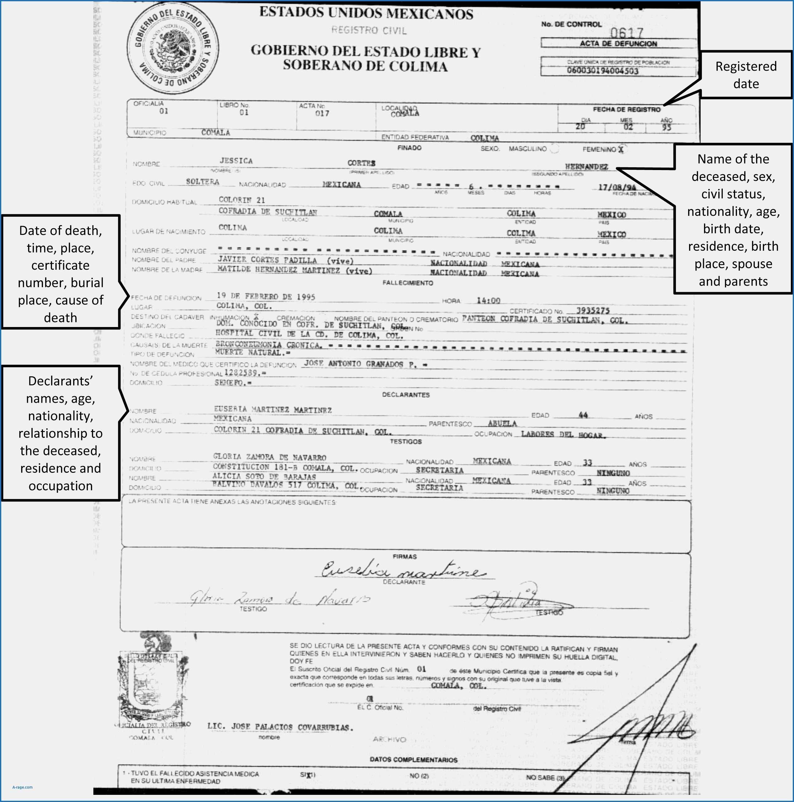 Brilliant Ideas For Birth Certificate Template Uk Of Your Pertaining To Birth Certificate Template Uk