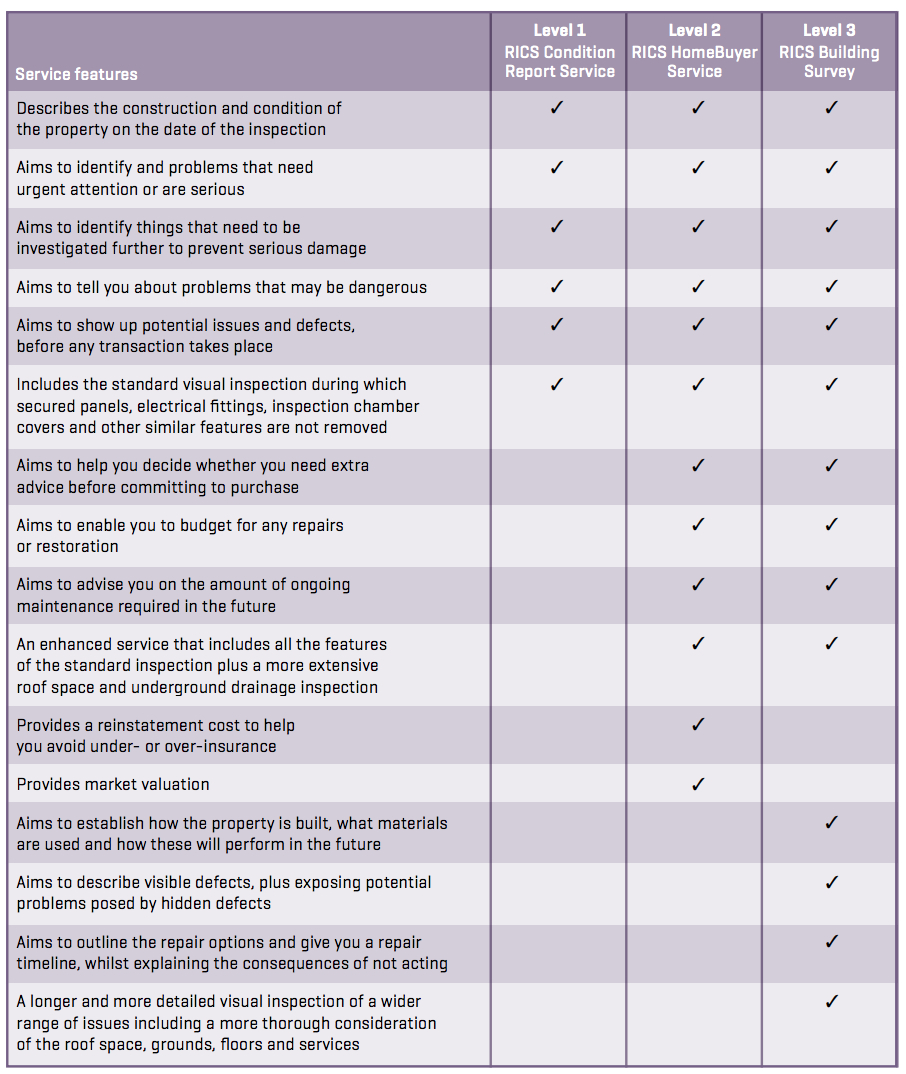 Building Survey (Formerly Structural Survey) | When Should I Inside Building Defect Report Template