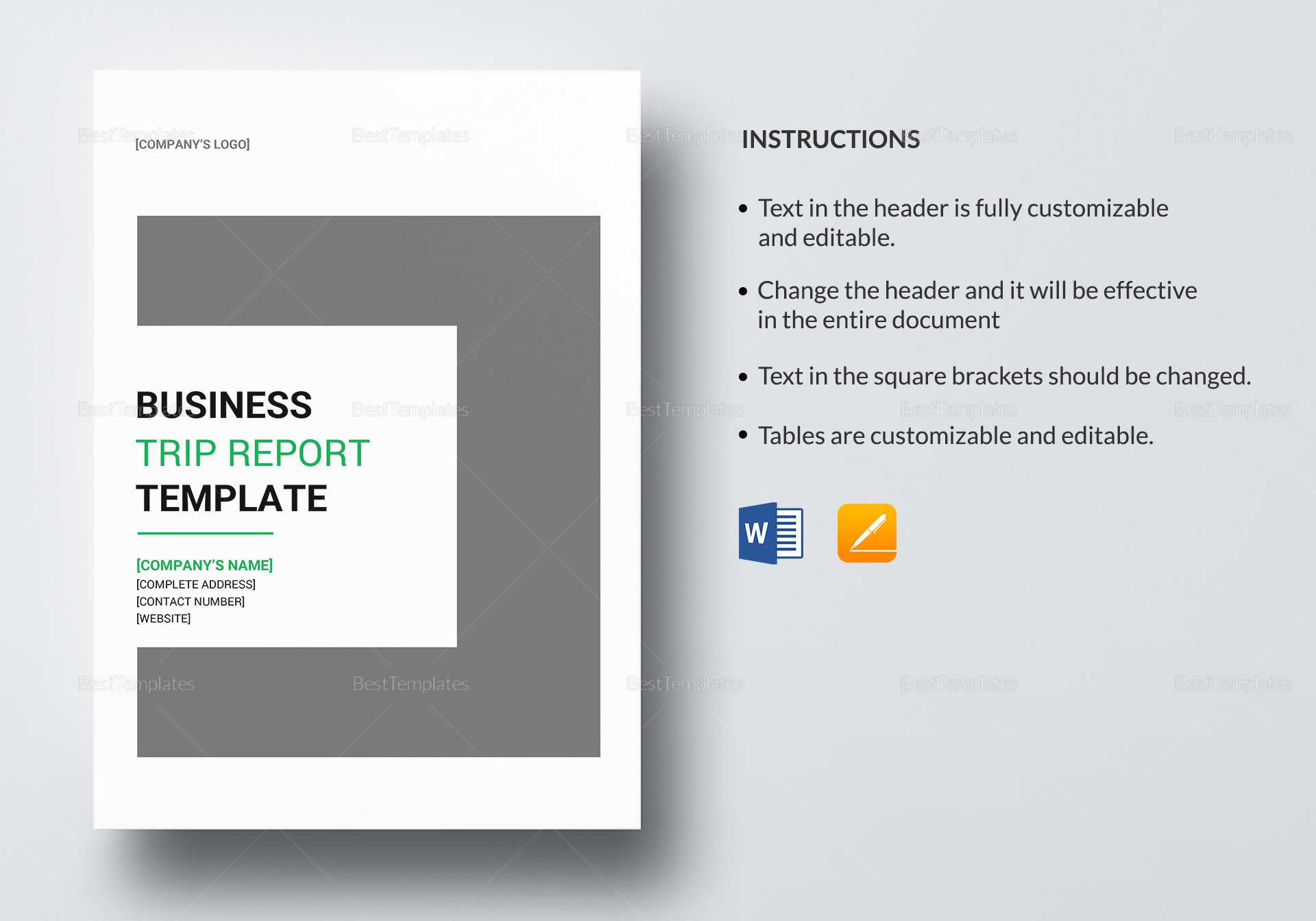 Business Trip Report Template Intended For Business Trip Report Template