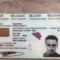 Buy Fake Id Cards For Sale, Germany, Italy, Spain, Us, Uk Regarding Georgia Id Card Template