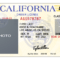 California Drivers License Template | California In 2019 With Blank Drivers License Template
