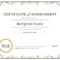 Certificate Of Acceptance Template – Atlantaauctionco In Certificate Of Acceptance Template