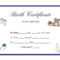 Certificates. Breathtaking Birth Certificate Template In Birth Certificate Fake Template