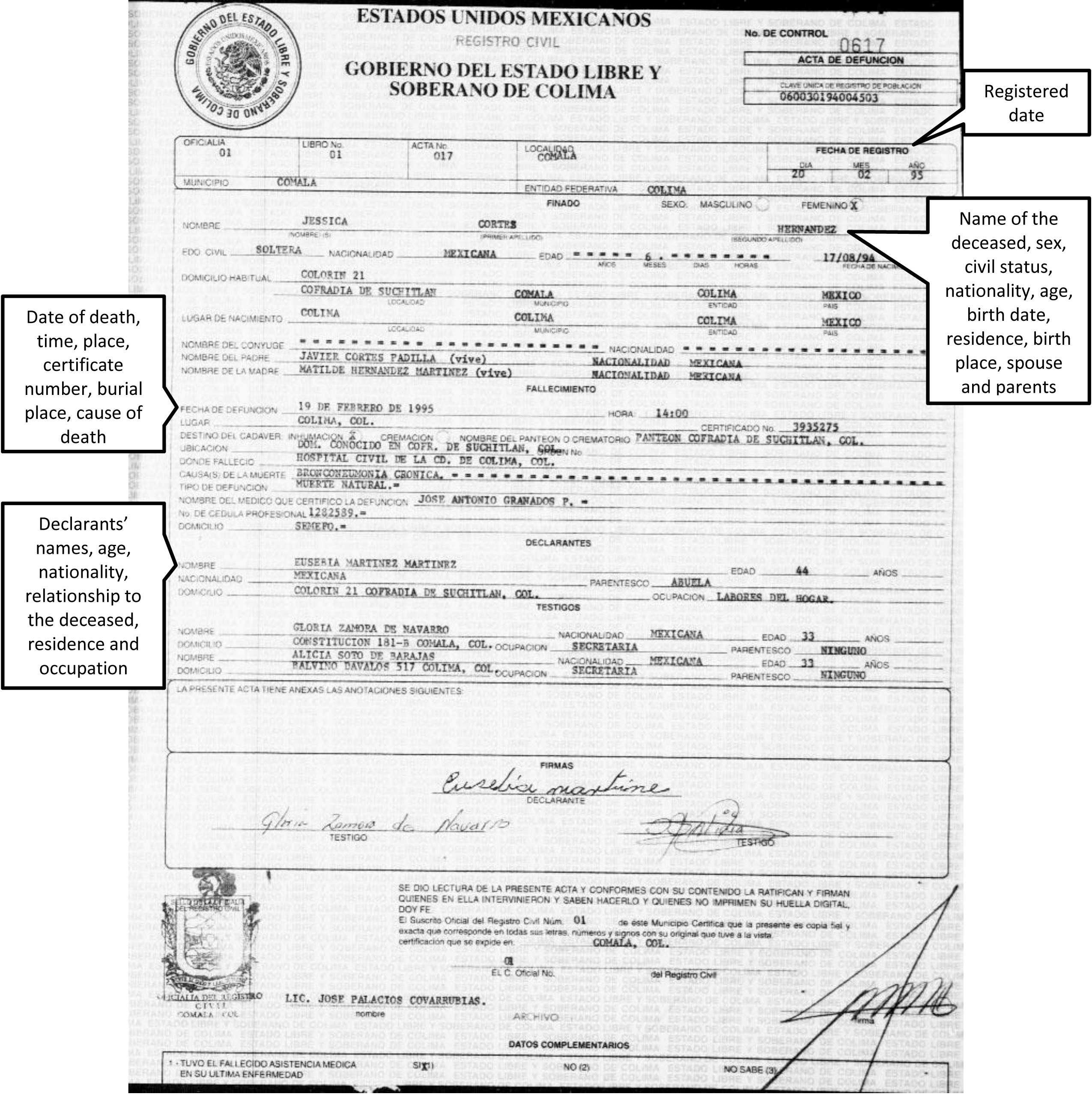Certificates: Enchanting Mexican Marriage Certificate Within Mexican Birth Certificate Translation Template
