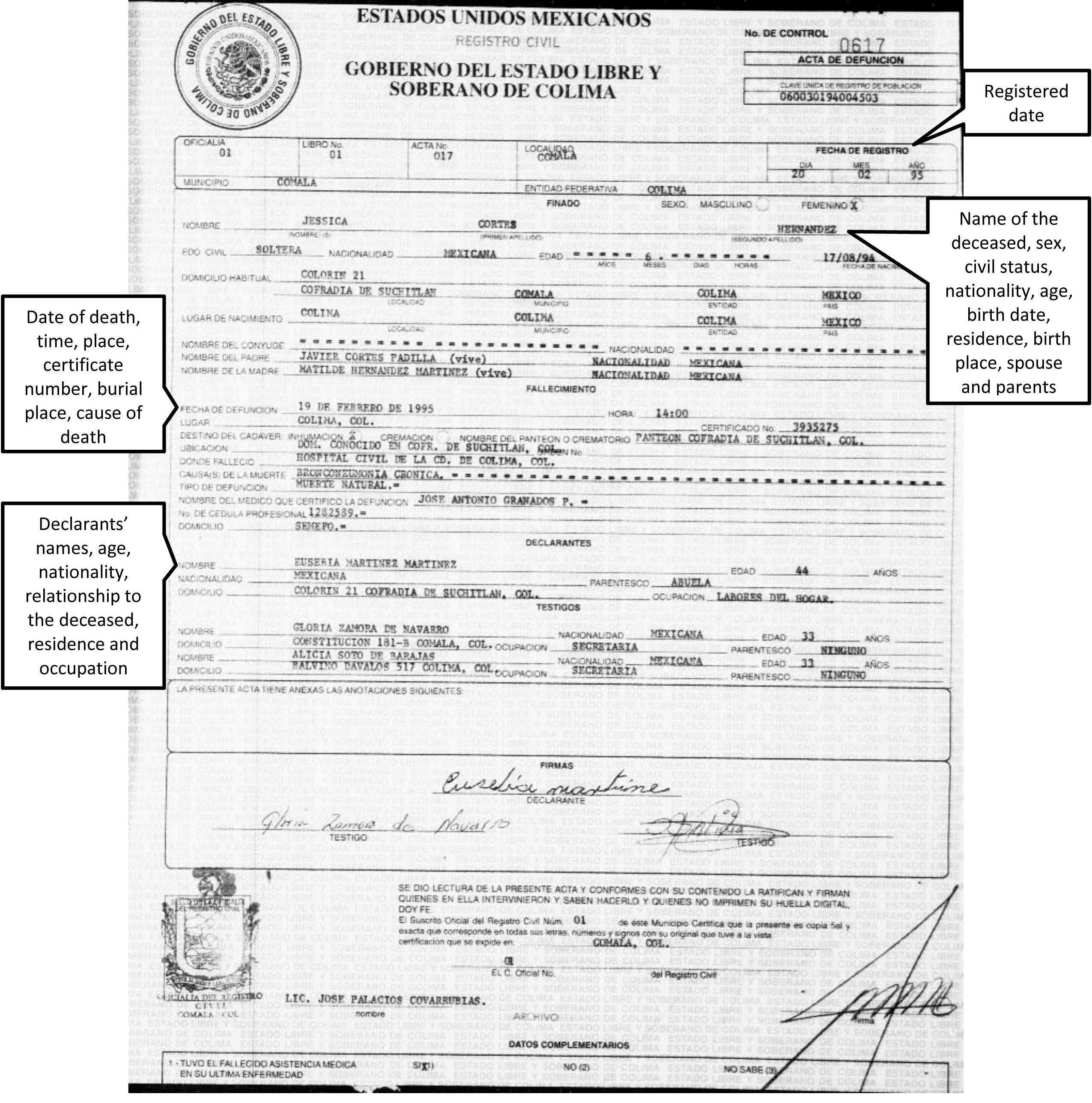 Certificates: Enchanting Mexican Marriage Certificate Within Mexican Birth Certificate Translation Template