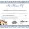 Certificates. Marvellous Donation Certificate Template Regarding Donation Certificate Template