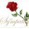 Condolences Sympathy Card Floral Red Roses Bouquet And Lettering Intended For Sympathy Card Template