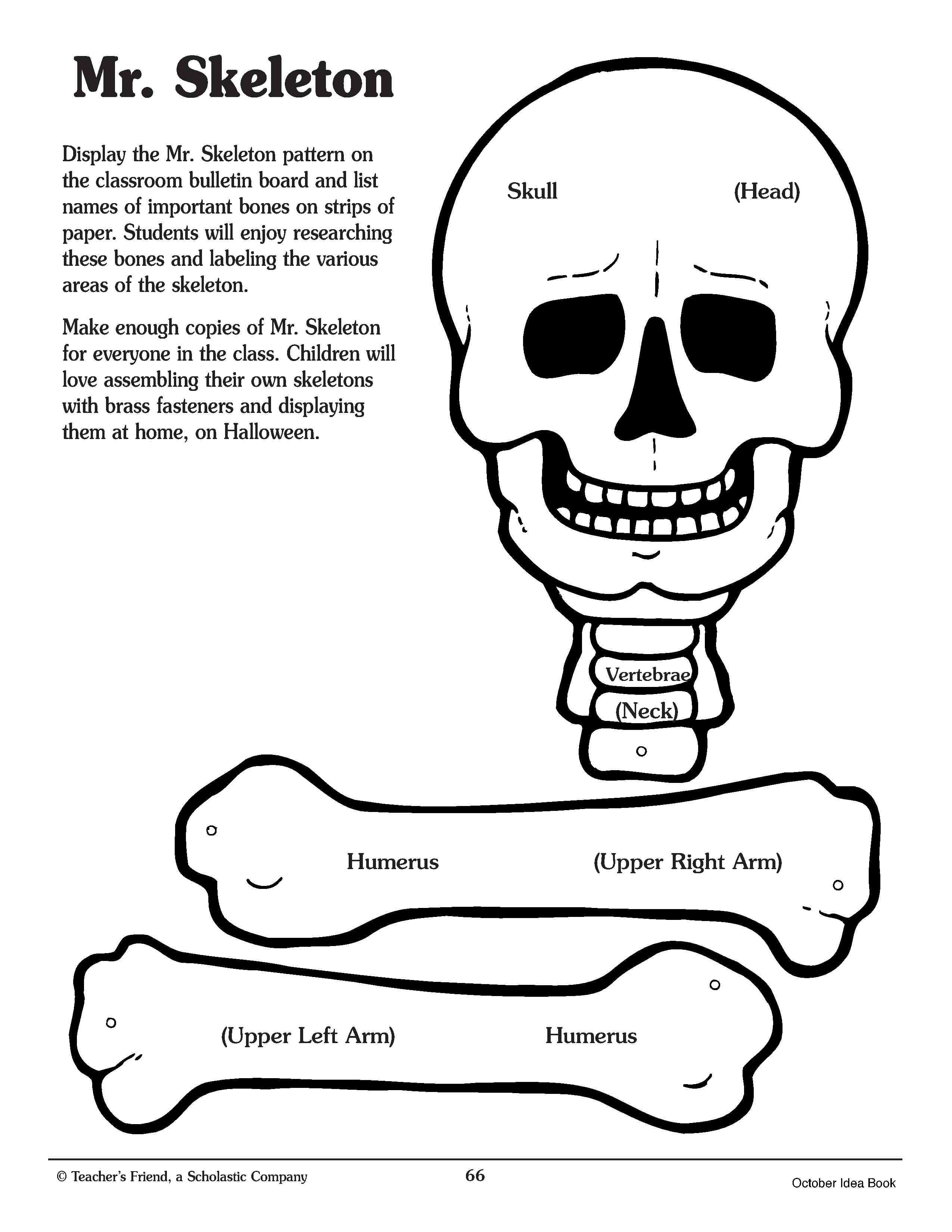 Crafty Symmetric Skeletons | Scholastic Intended For Story Skeleton Book Report Template