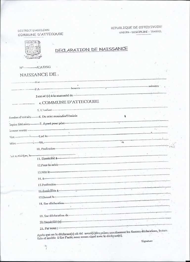 South African Birth Certificate Template