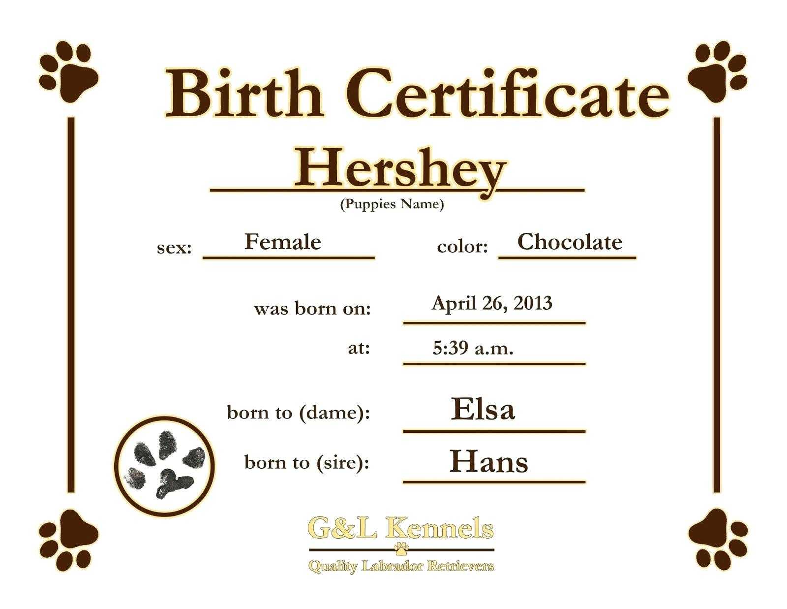 Dog Birth Certificate Free Template With Regard To Birth Certificate Templates For Word