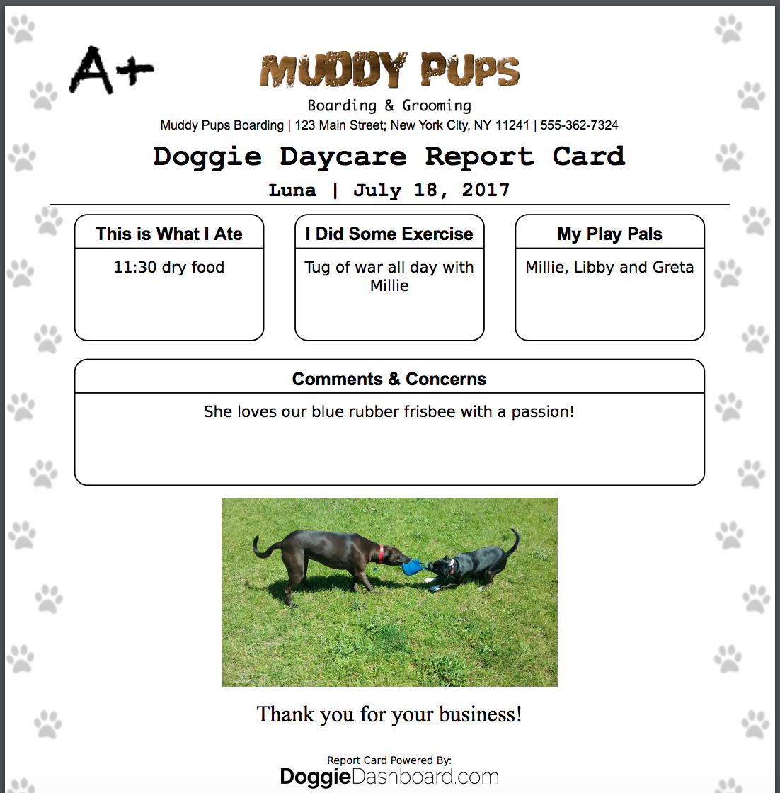 Doggiedashboard | Free Dog Daycare & Kennel Boarding Software Within Dog Grooming Record Card Template