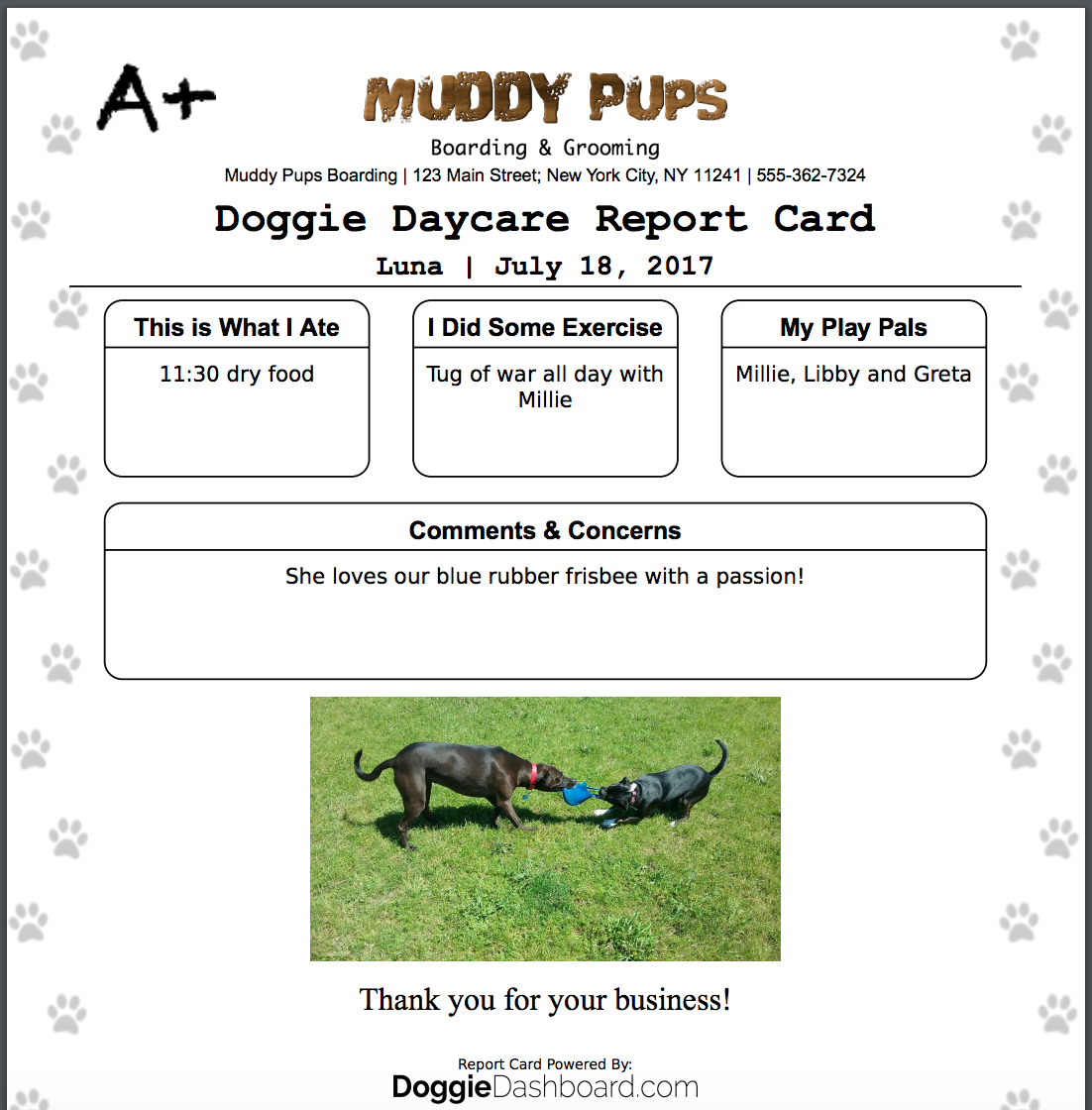 Doggiedashboard | Free Dog Daycare & Kennel Boarding Software Within Dog Grooming Record Card Template
