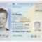Dutch Identity Card – Wikipedia Intended For French Id Card Template