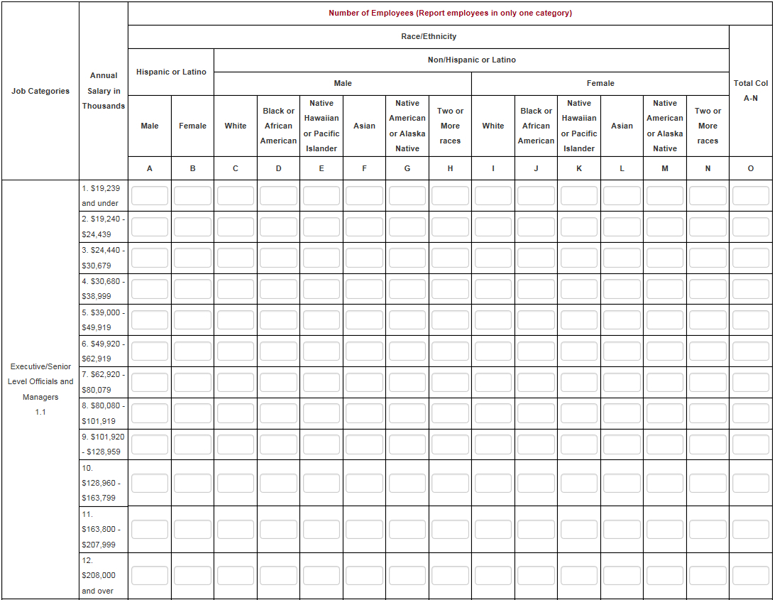 Eeo 1 Report Template – Atlantaauctionco For Eeo 1 Report Template