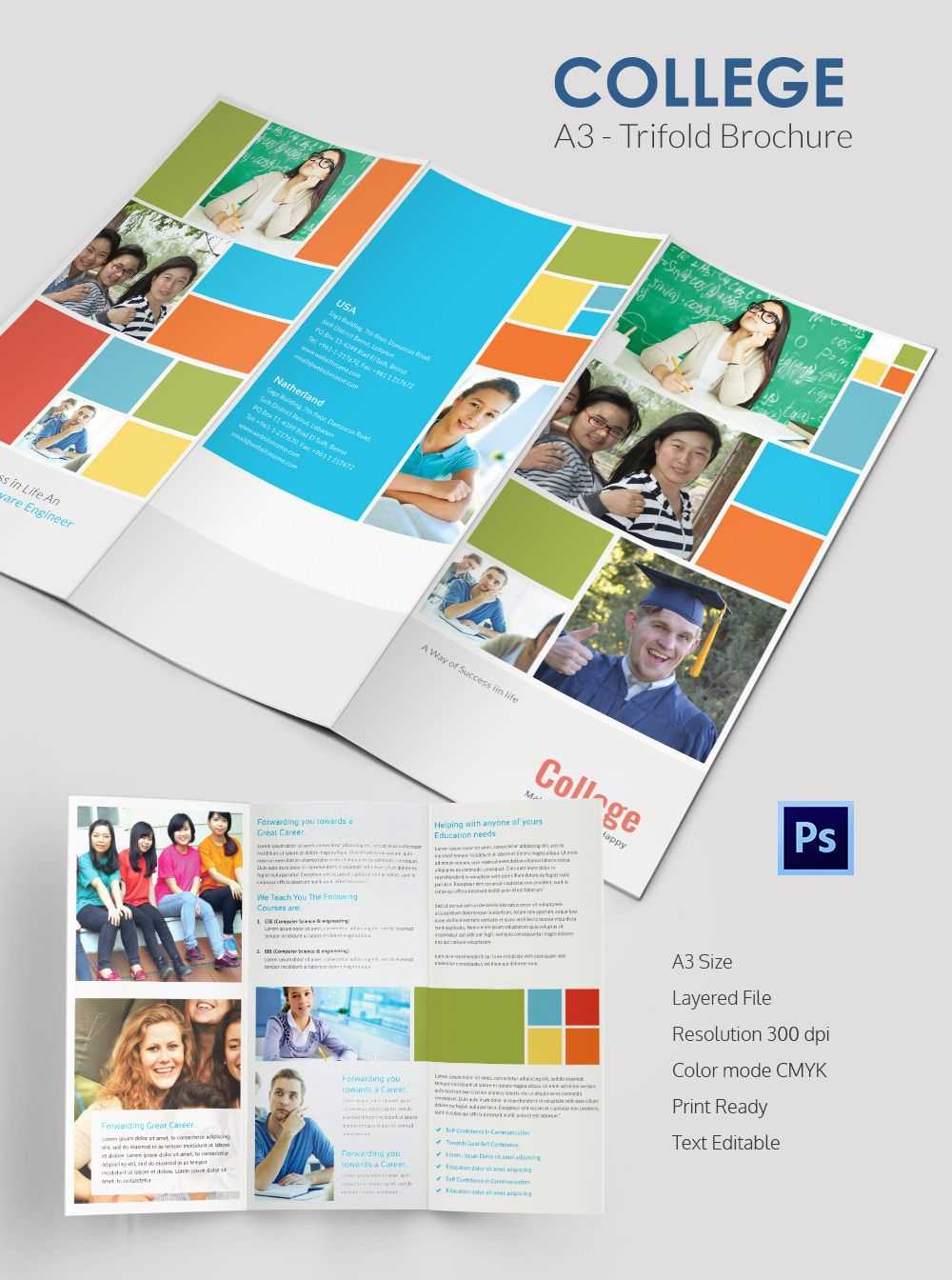 Elegant College Tri Fold Brochure Template | Tri Fold With Tri Fold School Brochure Template