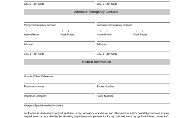 Emergency Contact Information Form Template | Printables for Student Information Card Template
