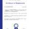 Excellent Employment Certificate Template For Sample Certificate Employment Template