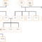 Family Tree Template With Siblings And Cousins Edit: My Intended For Blank Family Tree Template 3 Generations