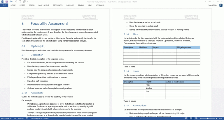 Technical Feasibility Report Template