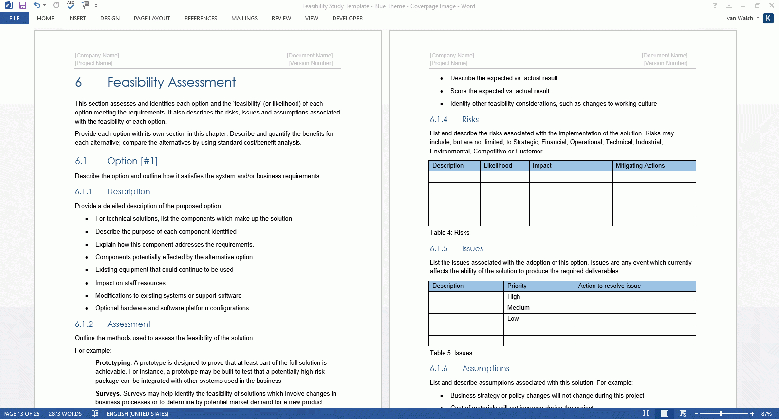 Feasibility Study Templates (Ms Word) – Templates, Forms Throughout Technical Feasibility Report Template