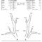 Figure 12 From Joint Recommendations For Reporting Carotid Within Carotid Ultrasound Report Template