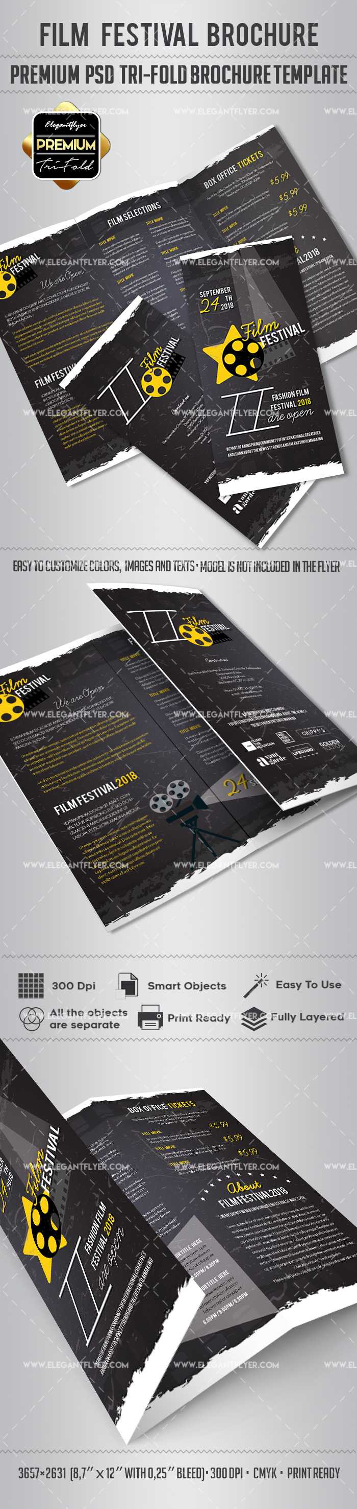 Film Festival Brochure Design For Film Festival Brochure Template