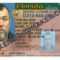 Florida Driver's License Fake Id Virtual Throughout Florida Id Card Template